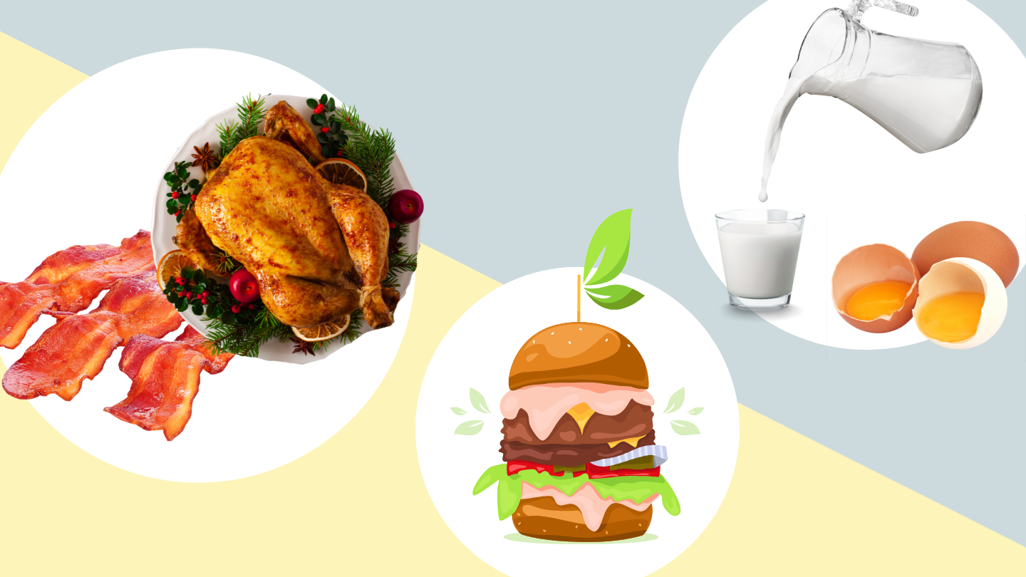 The picture displays a selection of meat dishes (roast chicken and bacon), animal protein foods (milk and eggs) as well as an alternative protein burger