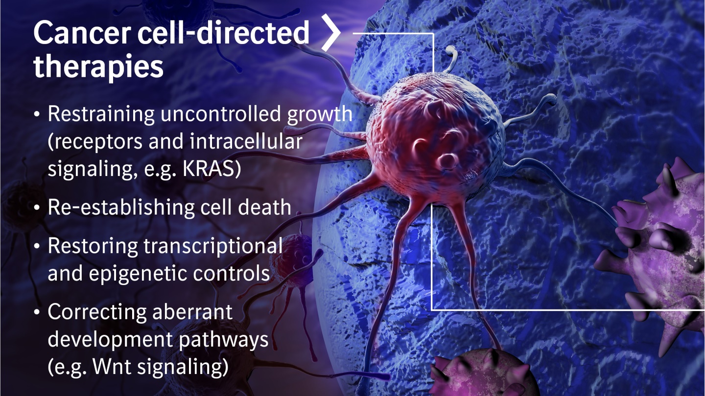 Oncology and Cancer Immunology Research | Boehringer Ingelheim