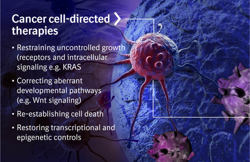 Oncology And Cancer Immunology Research 