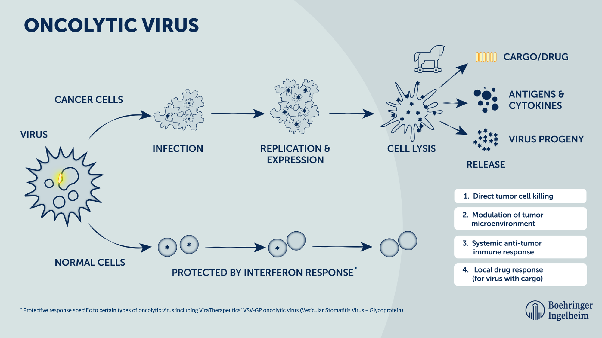 Our Partners_ViraTherapeutics | Boehringer Ingelheim