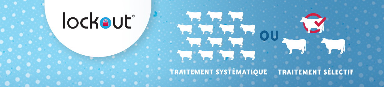 Traitement systématique de la vache tarie : Traitement systématique ou Traitement sélectif 