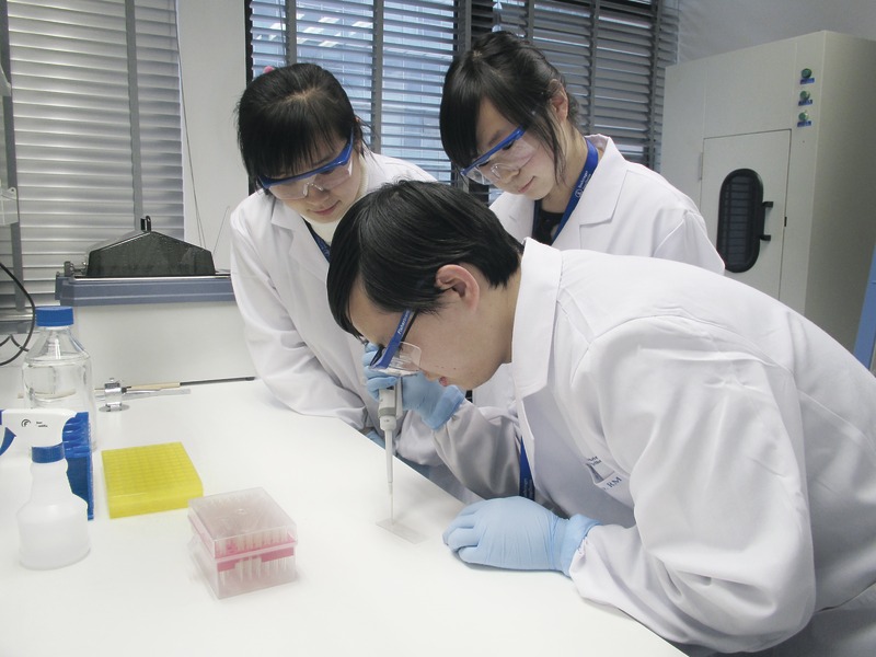 Científicos que trabajan en el laboratorio de cultivo celular