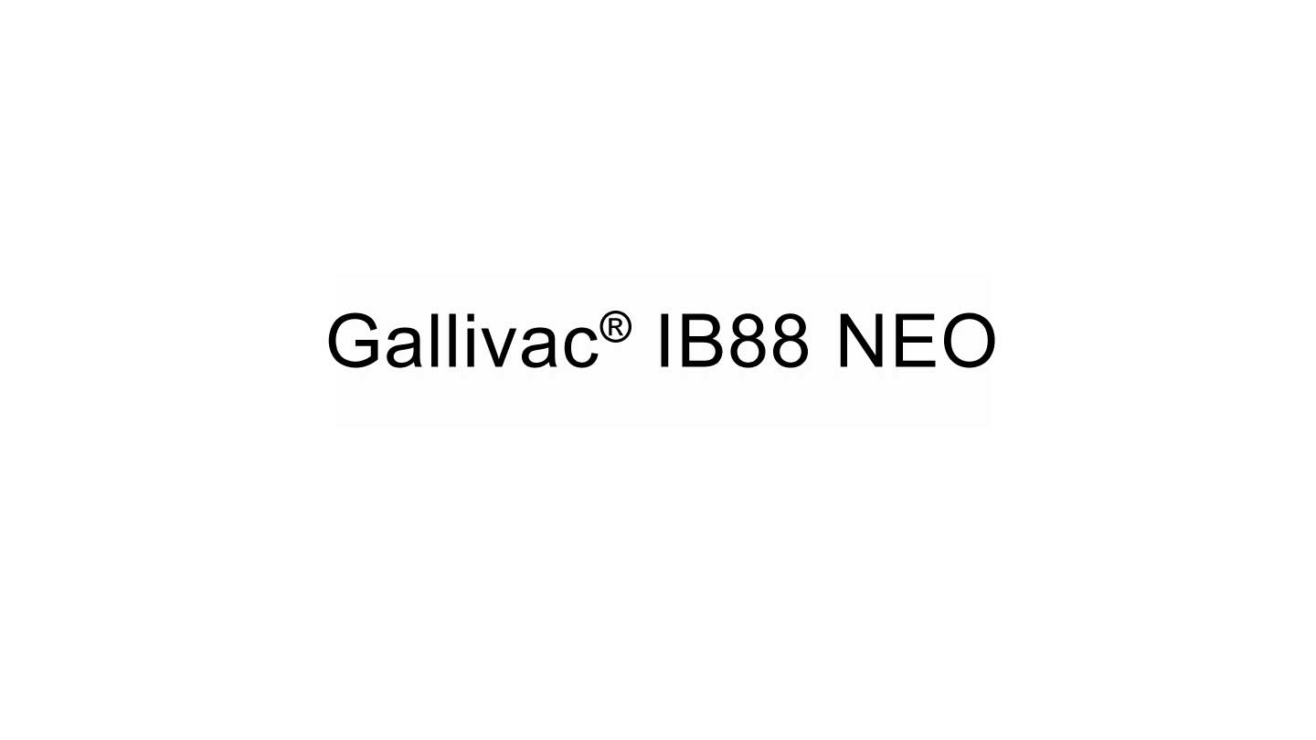 Gallivac<sup>®</sup> IB88 NEO - Argentina - Productos Salud Animal