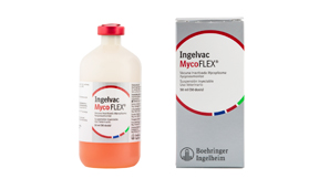 Ingelvac MycoFLEX® - Productos de Salud Animal