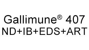 GALLIMUNE<sup>®</sup> 407 ND+IB+ EDS+ART - Productos Salud Animal