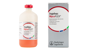 Ingelvac MycoFLEX<sup>®</sup> - Productos de Salud Animal