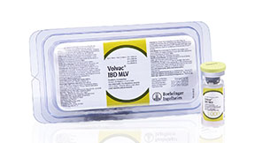 VOLVAC IBD MLV GUMBURO INTERMEDIATE - Productos de Salud Animal - Ecuador