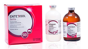 Enterisol<sup>®</sup> Ileítis - Productos de Salud Animal - Ecuador