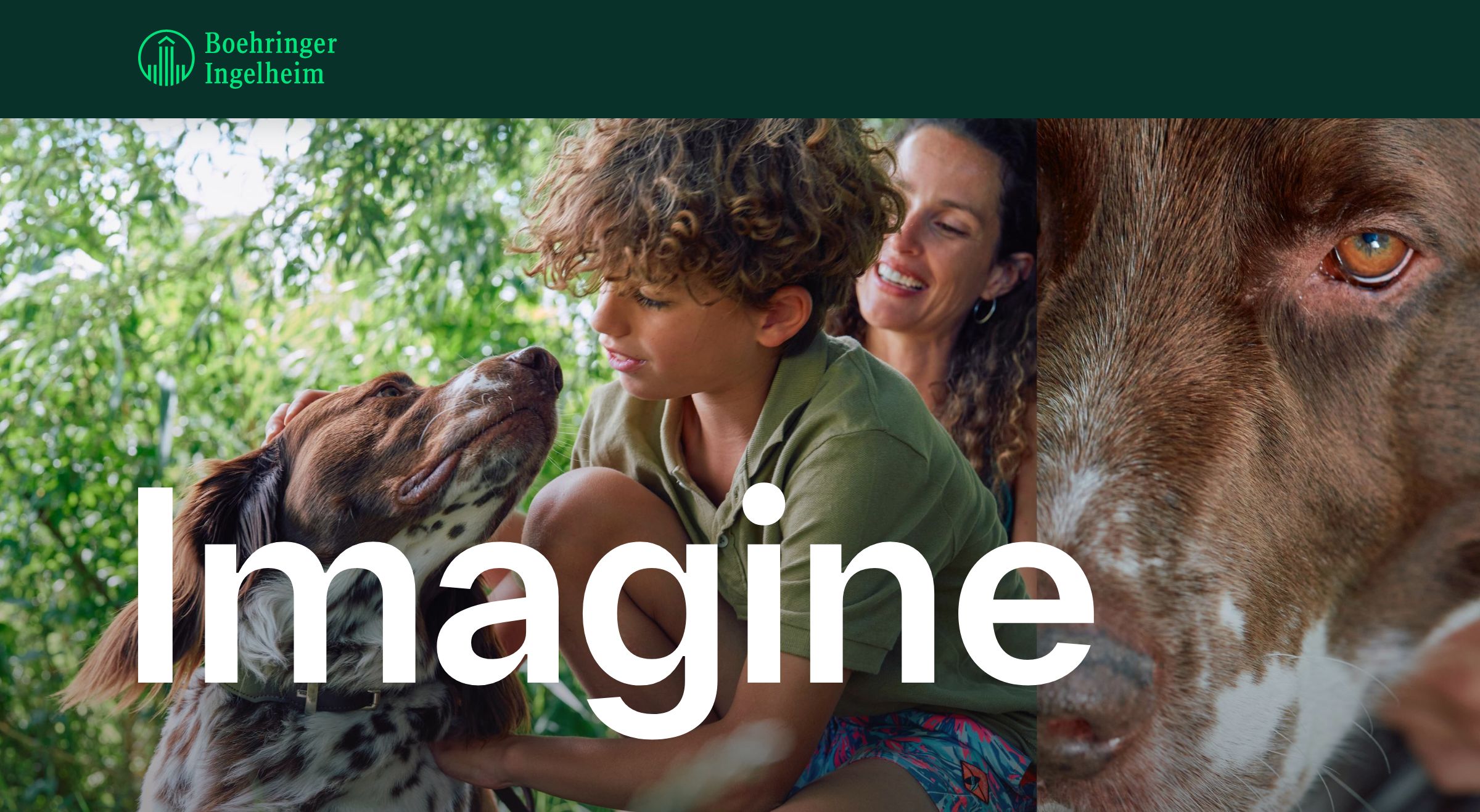 Home | Imagine | Boehringer Ingelheim