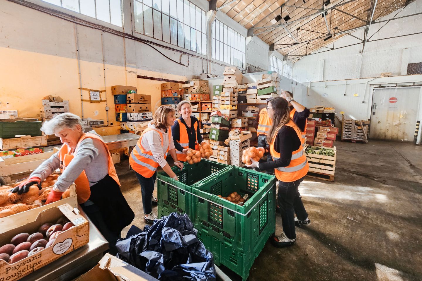 Group of volunteers sorting groceries